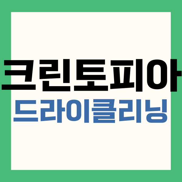 크린토피아 드라이클리닝 가격