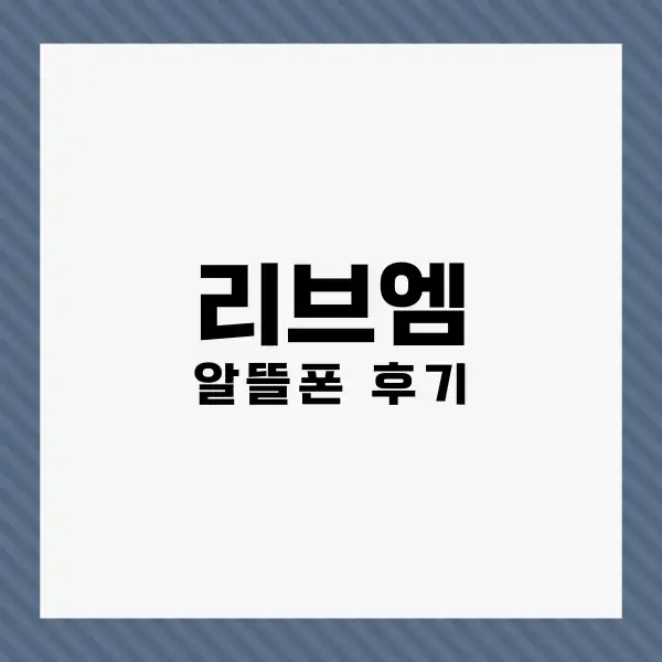 리브엠 알뜰폰 유심