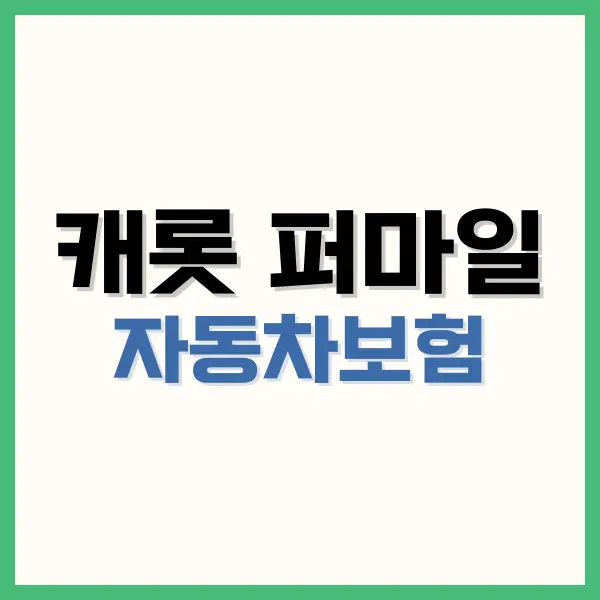 캐롯 퍼마일 자동차보험 분석: 장단점·플러그·실사용 후기까지 2 홀인원보험