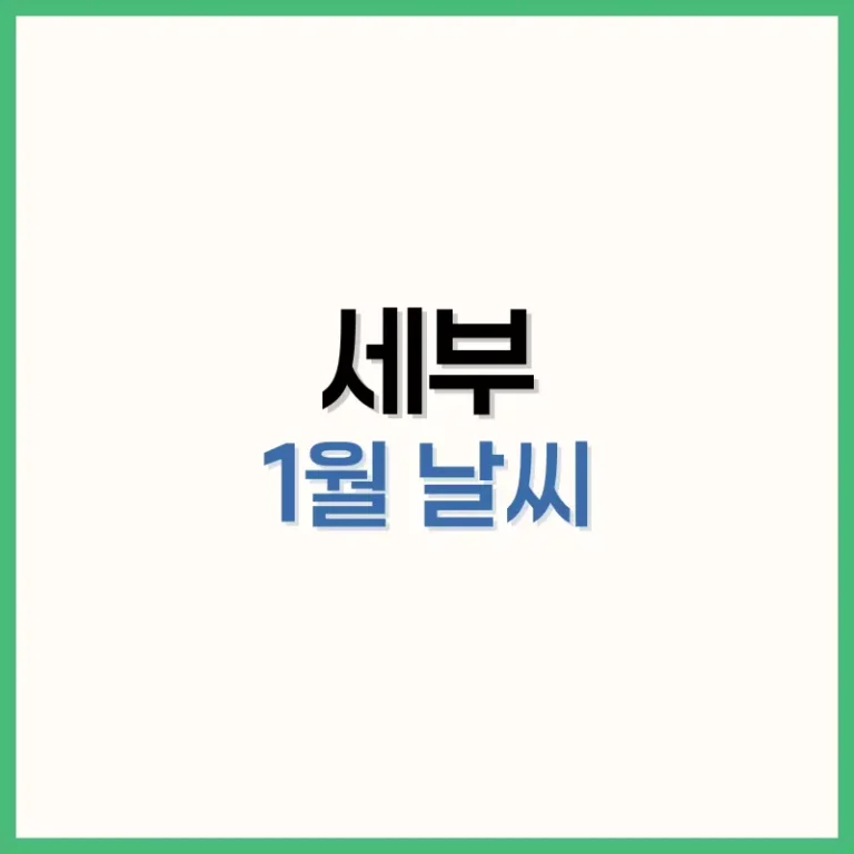 세부1월날씨